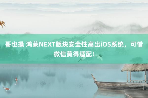 哥也操 鸿蒙NEXT版块安全性高出iOS系统，可惜微信莫得适配！