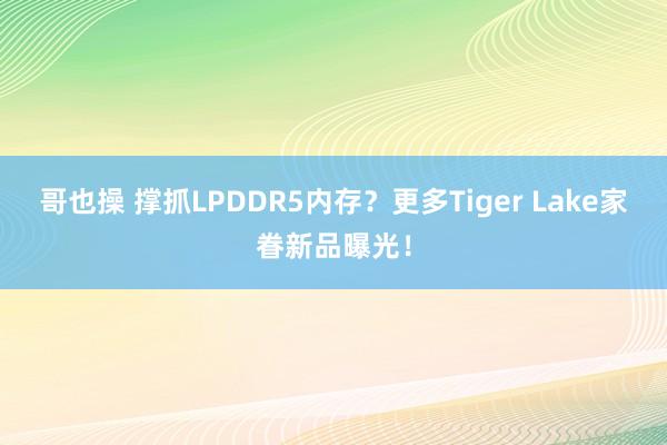 哥也操 撑抓LPDDR5内存？更多Tiger Lake家眷新品曝光！