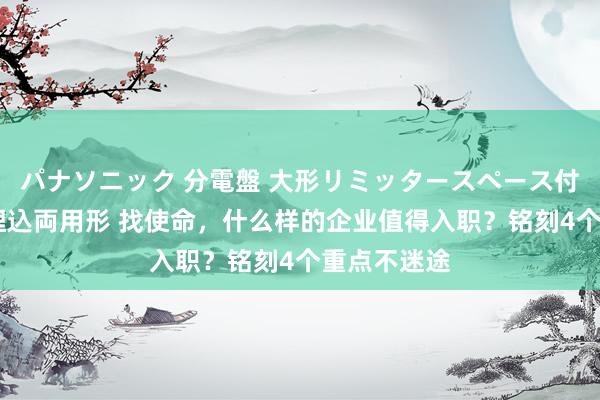 パナソニック 分電盤 大形リミッタースペース付 露出・半埋込両用形 找使命，什么样的企业值得入职？铭刻4个重点不迷途