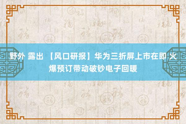 野外 露出 【风口研报】华为三折屏上市在即 火爆预订带动破钞电子回暖