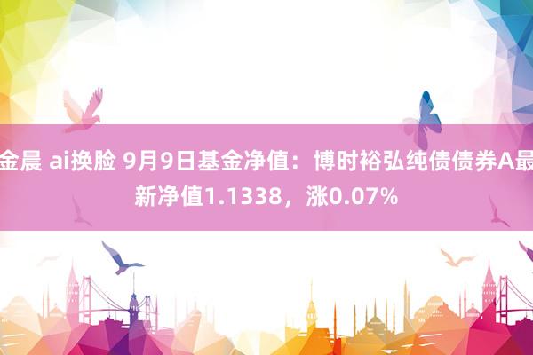 金晨 ai换脸 9月9日基金净值：博时裕弘纯债债券A最新净值1.1338，涨0.07%