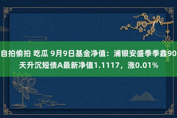 自拍偷拍 吃瓜 9月9日基金净值：浦银安盛季季鑫90天升沉短债A最新净值1.1117，涨0.01%