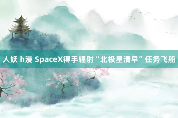 人妖 h漫 SpaceX得手辐射“北极星清早”任务飞船