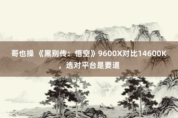 哥也操 《黑别传：悟空》9600X对比14600K，选对平台是要道