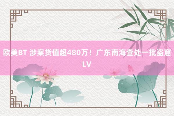 欧美BT 涉案货值超480万！广东南海查处一批盗窟LV