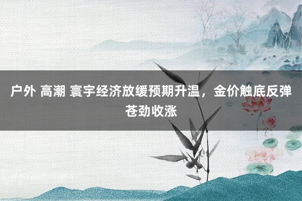 户外 高潮 寰宇经济放缓预期升温，金价触底反弹苍劲收涨