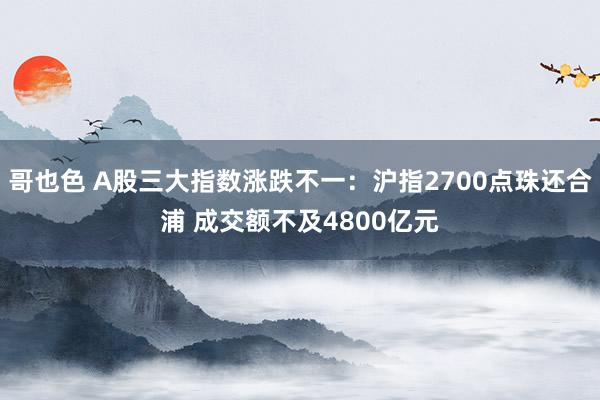 哥也色 A股三大指数涨跌不一：沪指2700点珠还合浦 成交额不及4800亿元