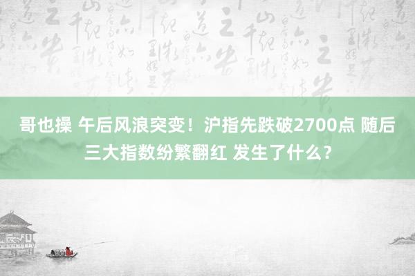 哥也操 午后风浪突变！沪指先跌破2700点 随后三大指数纷繁翻红 发生了什么？