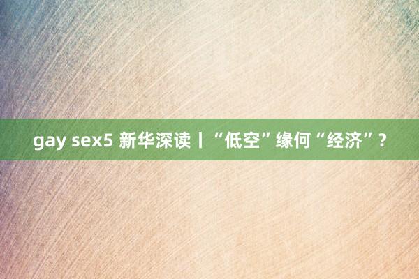 gay sex5 新华深读丨“低空”缘何“经济”？