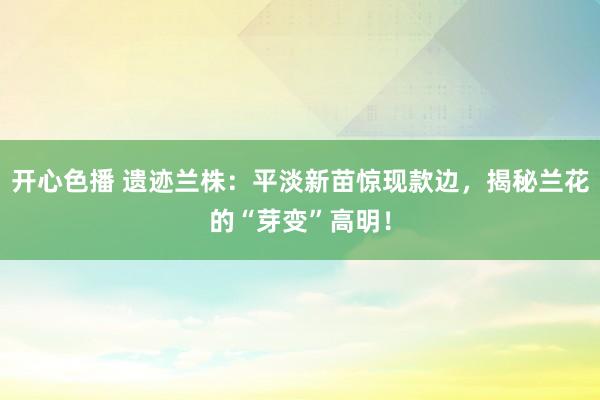 开心色播 遗迹兰株：平淡新苗惊现款边，揭秘兰花的“芽变”高明！