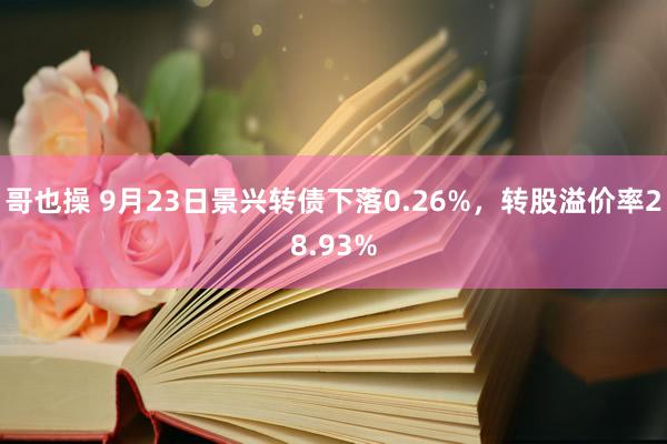 哥也操 9月23日景兴转债下落0.26%，转股溢价率28.93%