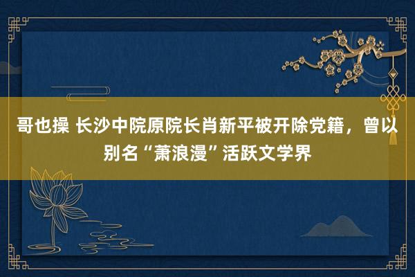 哥也操 长沙中院原院长肖新平被开除党籍，曾以别名“萧浪漫”活跃文学界