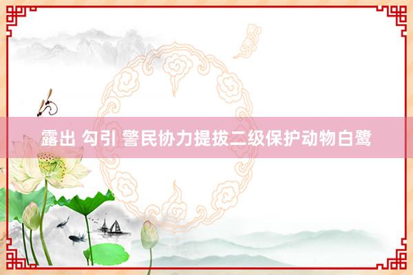 露出 勾引 警民协力提拔二级保护动物白鹭