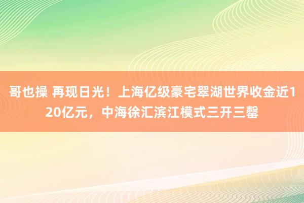 哥也操 再现日光！上海亿级豪宅翠湖世界收金近120亿元，中海徐汇滨江模式三开三罄