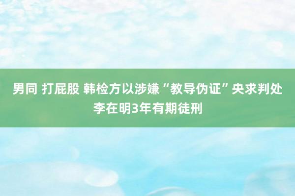 男同 打屁股 韩检方以涉嫌“教导伪证”央求判处李在明3年有期徒刑