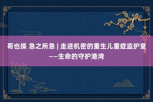 哥也操 急之所急 | 走进机密的重生儿重症监护室——生命的守护港湾