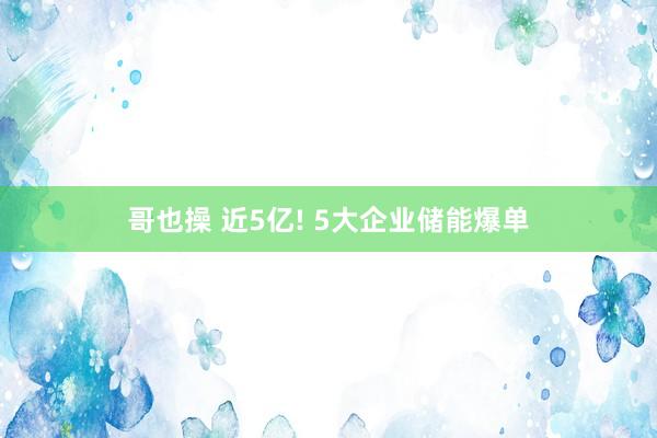 哥也操 近5亿! 5大企业储能爆单