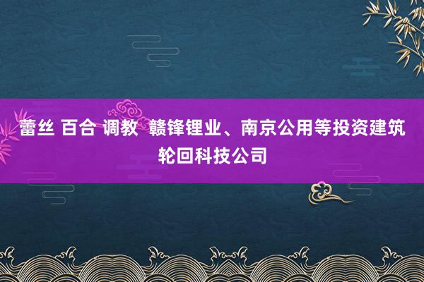 蕾丝 百合 调教  赣锋锂业、南京公用等投资建筑轮回科技公司