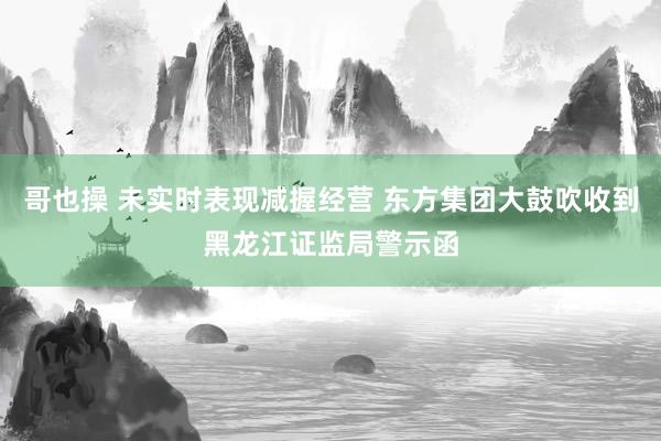 哥也操 未实时表现减握经营 东方集团大鼓吹收到黑龙江证监局警示函