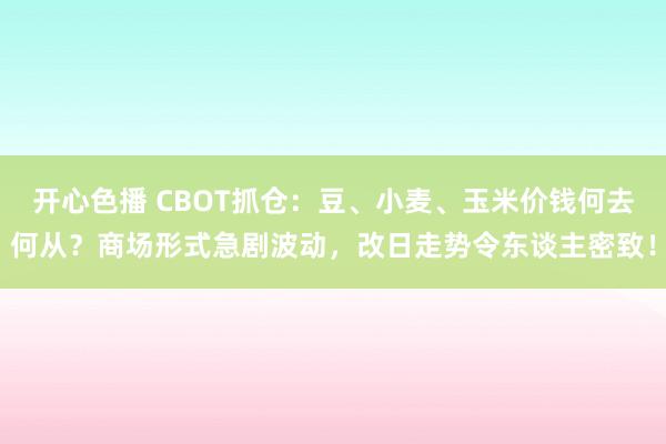 开心色播 CBOT抓仓：豆、小麦、玉米价钱何去何从？商场形式急剧波动，改日走势令东谈主密致！