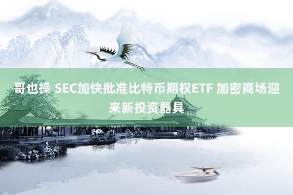 哥也操 SEC加快批准比特币期权ETF 加密商场迎来新投资器具