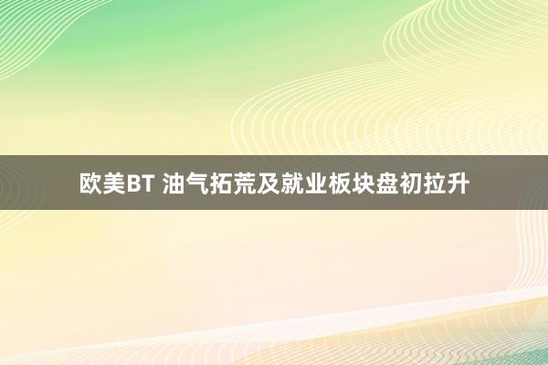 欧美BT 油气拓荒及就业板块盘初拉升