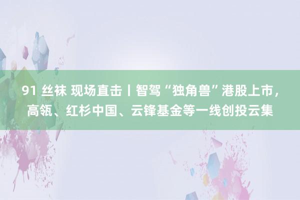 91 丝袜 现场直击丨智驾“独角兽”港股上市，高瓴、红杉中国、云锋基金等一线创投云集