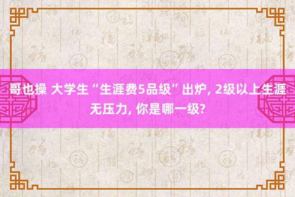 哥也操 大学生“生涯费5品级”出炉， 2级以上生涯无压力， 你是哪一级?