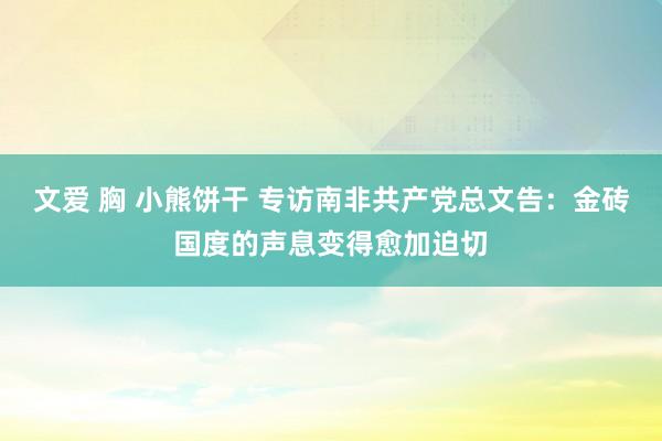 文爱 胸 小熊饼干 专访南非共产党总文告：金砖国度的声息变得愈加迫切