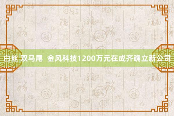 白丝 双马尾  金风科技1200万元在成齐确立新公司