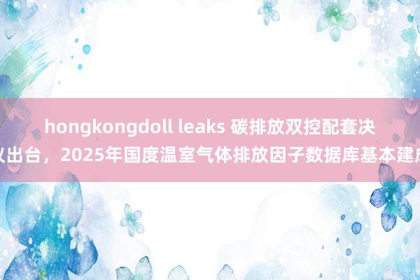 hongkongdoll leaks 碳排放双控配套决议出台，2025年国度温室气体排放因子数据库基本建成