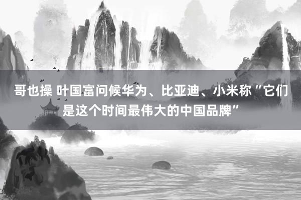 哥也操 叶国富问候华为、比亚迪、小米称“它们是这个时间最伟大的中国品牌”