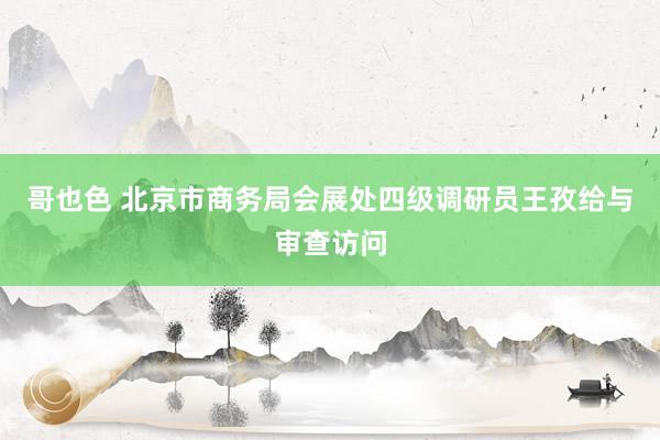 哥也色 北京市商务局会展处四级调研员王孜给与审查访问