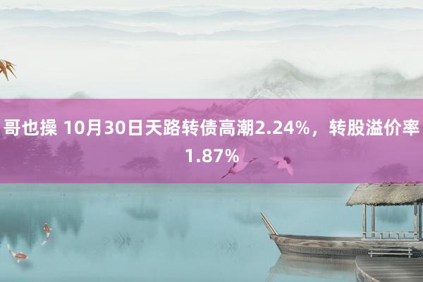 哥也操 10月30日天路转债高潮2.24%，转股溢价率1.87%