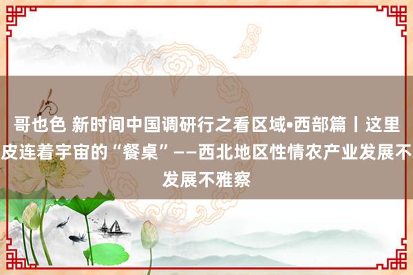 哥也色 新时间中国调研行之看区域•西部篇丨这里的地皮连着宇宙的“餐桌”——西北地区性情农产业发展不雅察