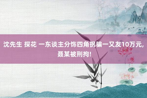 沈先生 探花 一东谈主分饰四角拐骗一又友10万元， 聂某被刑拘!