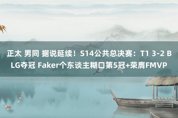 正太 男同 据说延续！S14公共总决赛：T1 3-2 BLG夺冠 Faker个东谈主糊口第5冠+荣膺FMVP