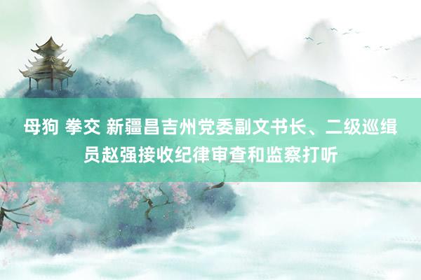 母狗 拳交 新疆昌吉州党委副文书长、二级巡缉员赵强接收纪律审查和监察打听