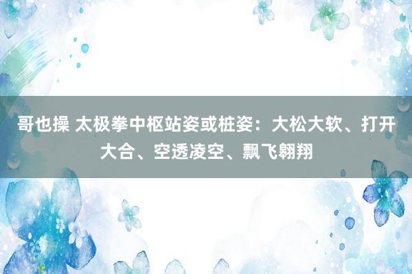 哥也操 太极拳中枢站姿或桩姿：大松大软、打开大合、空透凌空、飘飞翱翔