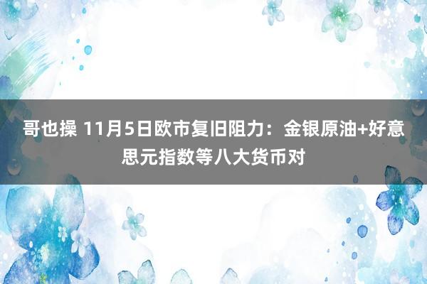 哥也操 11月5日欧市复旧阻力：金银原油+好意思元指数等八大货币对