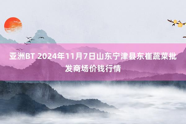 亚洲BT 2024年11月7日山东宁津县东崔蔬菜批发商场价钱行情