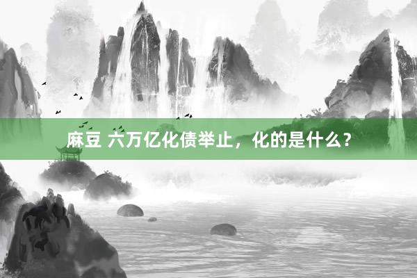 麻豆 六万亿化债举止，化的是什么？