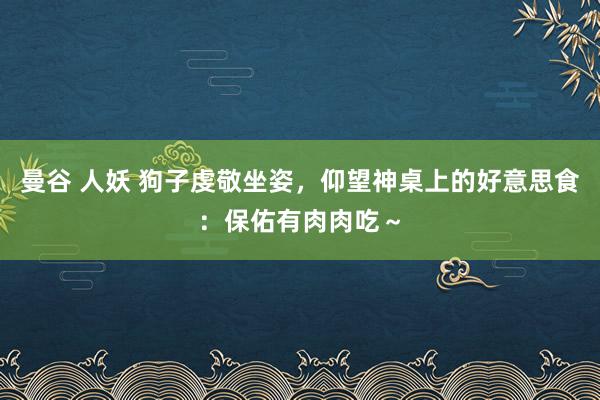 曼谷 人妖 狗子虔敬坐姿，仰望神桌上的好意思食：保佑有肉肉吃～