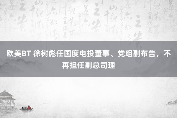 欧美BT 徐树彪任国度电投董事、党组副布告，不再担任副总司理