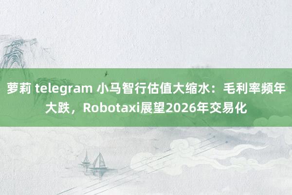 萝莉 telegram 小马智行估值大缩水：毛利率频年大跌，Robotaxi展望2026年交易化