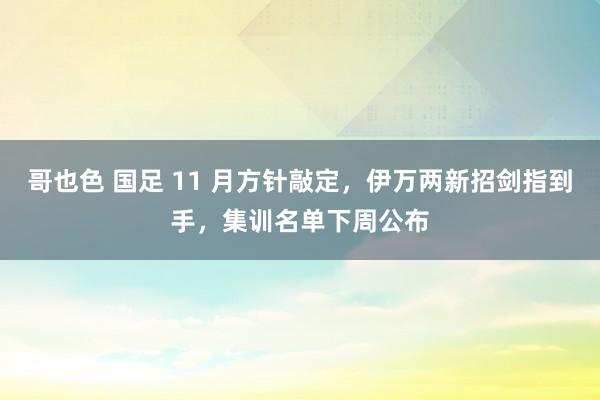 哥也色 国足 11 月方针敲定，伊万两新招剑指到手，集训名单下周公布