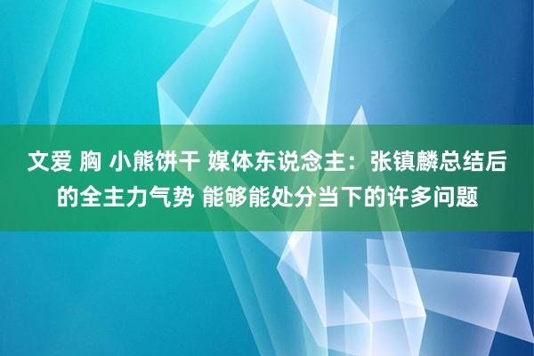 文爱 胸 小熊饼干 媒体东说念主：张镇麟总结后的全主力气势 能够能处分当下的许多问题