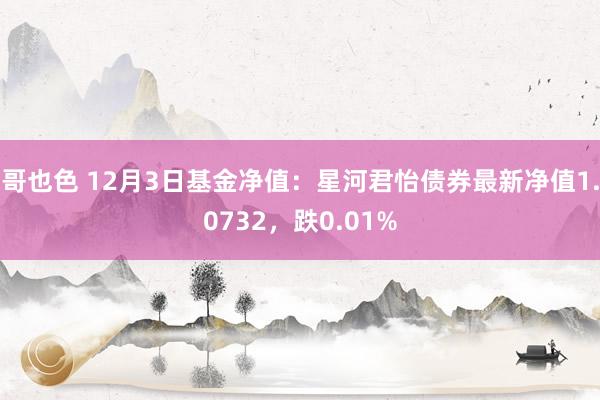 哥也色 12月3日基金净值：星河君怡债券最新净值1.0732，跌0.01%