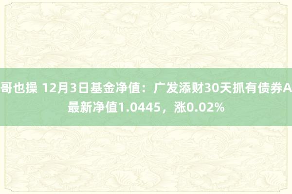 哥也操 12月3日基金净值：广发添财30天抓有债券A最新净值1.0445，涨0.02%