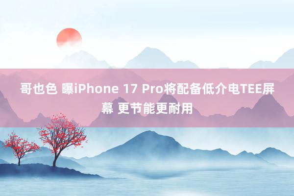 哥也色 曝iPhone 17 Pro将配备低介电TEE屏幕 更节能更耐用